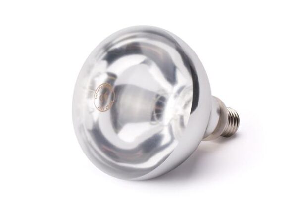 Infračervená ohrevná žiarovka, HENDI, Biela, 230V/250W, ø125x(H)170mm - Image 2