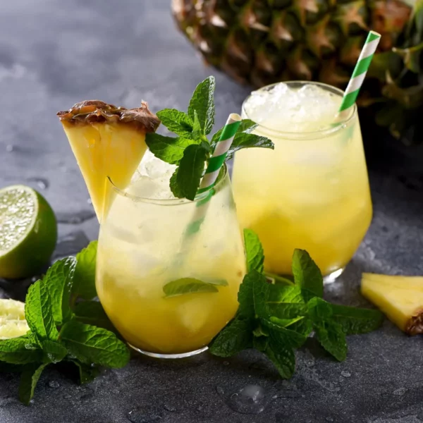 Kombinovaný barový spotrebič - mixér, drvič ľadu, šejkr na mlieko a citrusovač - Image 2