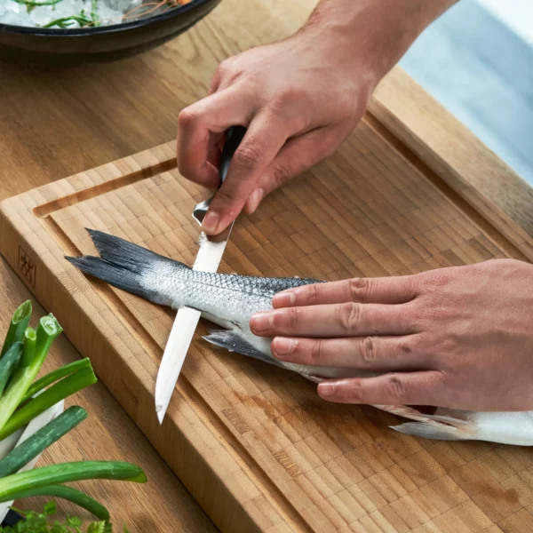ZWILLING | VIER STERNE - Filetovací nôž - čepeľ: 180mm - Image 9