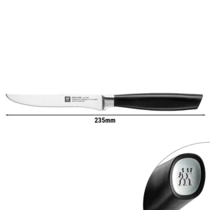 ZWILLING | ALL * STAR - Steakový nôž - čepeľ: 120mm - strieborný