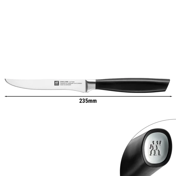 ZWILLING | ALL * STAR - Steakový nôž - čepeľ: 120mm - strieborný