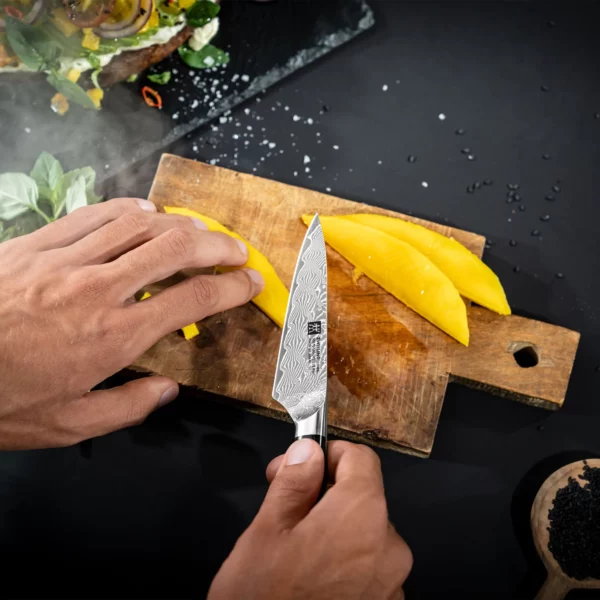 ZWILLING | TANREI - Špikovací & zdobiaci nôž - čepeľ: 100mm - Image 7