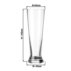 (6 kusov) pohár na pivo - PIVO ŠPECIÁLY - 300 ml