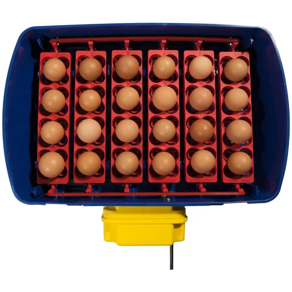 Umelá liaheň na vajcia - 24 vajec - vrátane zvlhčovacieho systému - plne automatická - Image 2