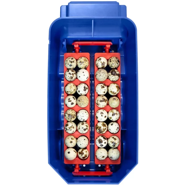 Umelá liaheň na vajcia - 8 vajec - vrátane zvlhčovacieho systému - plne automatická - Image 3