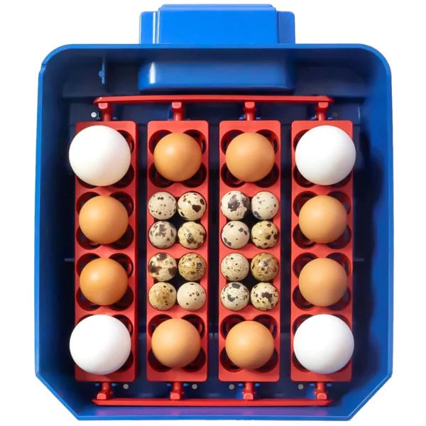 Umelá liaheň - 16 vajec - vrátane zvlhčovacieho systému - plná automatika - antimikrobiálna ochrana - Image 3