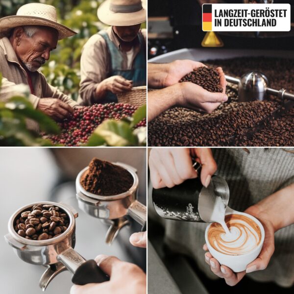 BELLADO | Kávové zrná "Monsoon" - 12x 1kg - 60% Arabica a 40% Robusta - Image 2