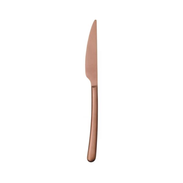 Dezertný nôž Amarone Brozne, OVE, 190 mm, 1 ks - Image 2