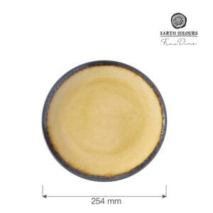 Tanier plytký Topaz 254 mm, 1 ks