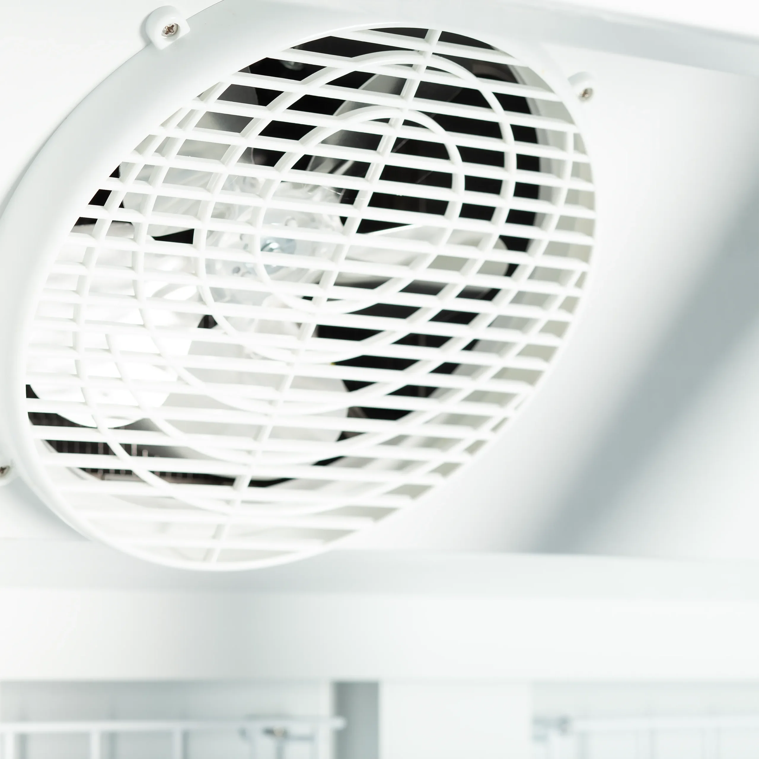 Mraziaca skriňa – dvojdverová – 702 L – čierna | TEFCOLD Atom Maxi F2DB – Obrázok 5